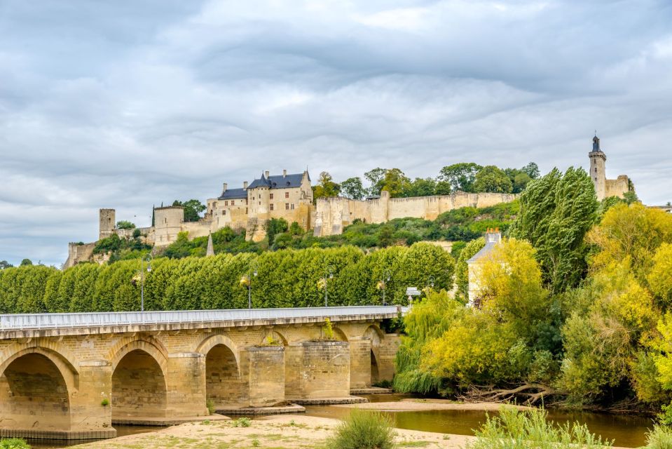 From Tours: Loire Valley Wineries Day Trip with Tastings - The Chinon tasting session: learning to read the glass