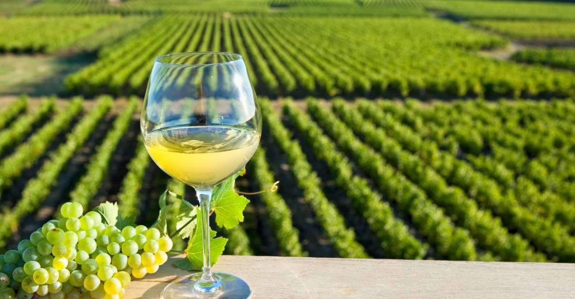 From Tours: Loire Valley Wineries Day Trip with Tastings - Who this tour is for (and who should skip it)