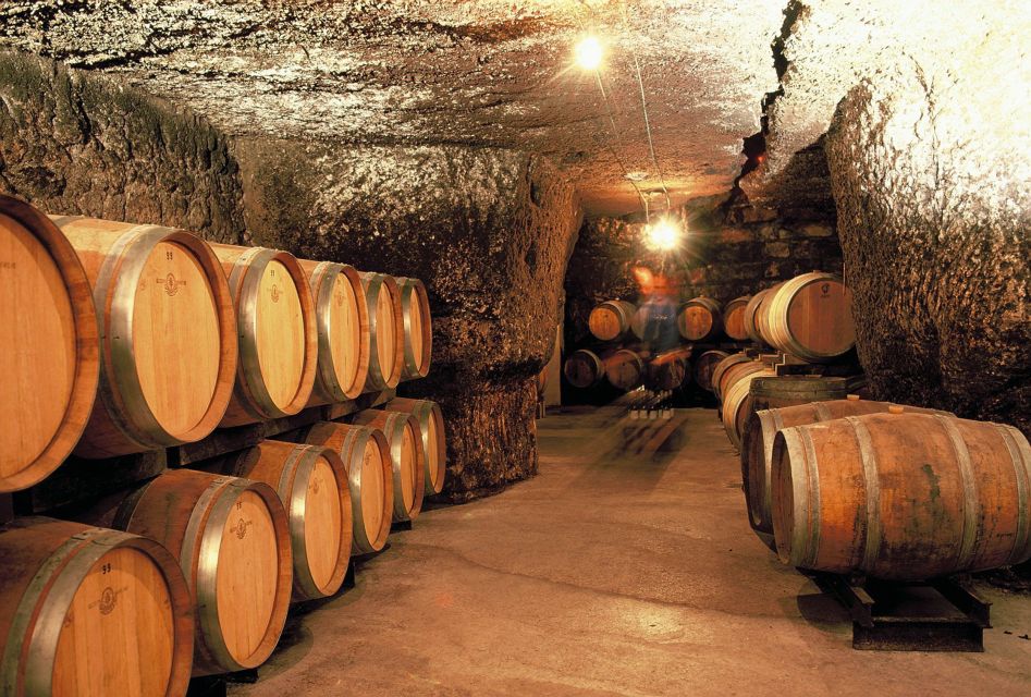 From Tours: Loire Valley Wineries Day Trip with Tastings - The minivan, the group size, and why it changes everything