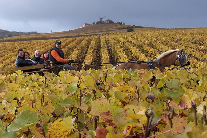 Full Day All-inclusive Tour in Champagne from Paris in a Minivan - Why This Paris to Champagne Tour Feels Easy