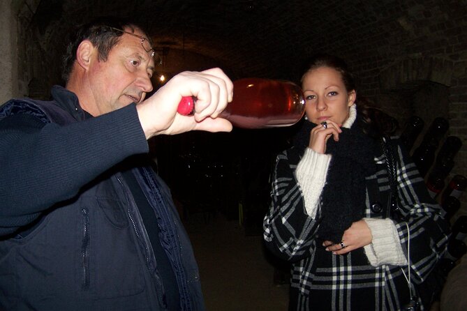 Full Day All-inclusive Tour in Champagne from Paris in a Minivan - Timing, Food, and Drinking: How to Plan Your Own Day