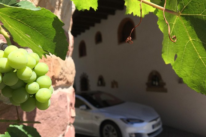 FULL DAY ALSACE PRIVATE TOUR : Tailored by your Friendly Driver - The wine vibe: what you’re really paying for