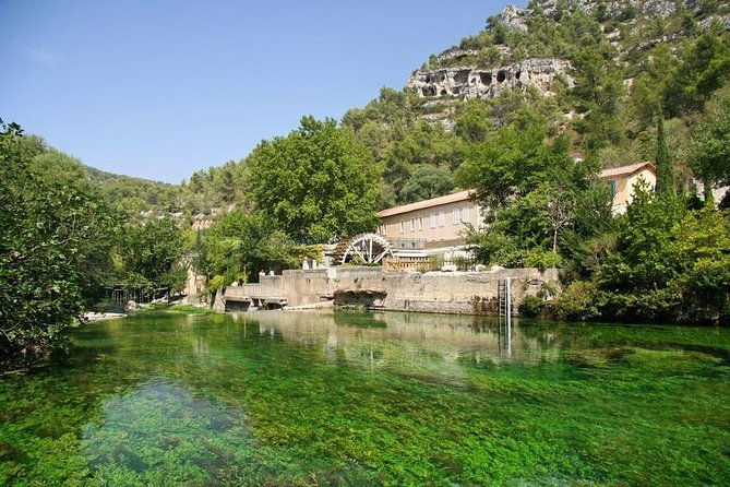 Full Day Best of Provence Tour from Avignon - Saint-Remy-de-Provence: a town walk in the Alpilles