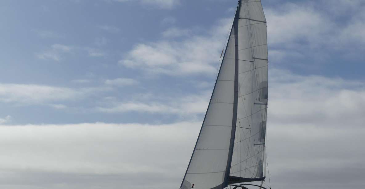 Full-day cruise with stopover on the island of Houat - Sailing the Baladeuzh toward Houat