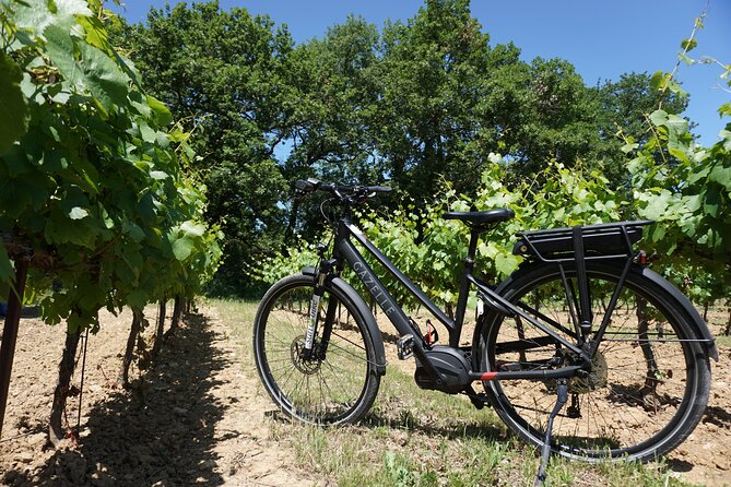 Full day E-Bike rental around the Mont-Ventoux - Key things I’d circle before you book