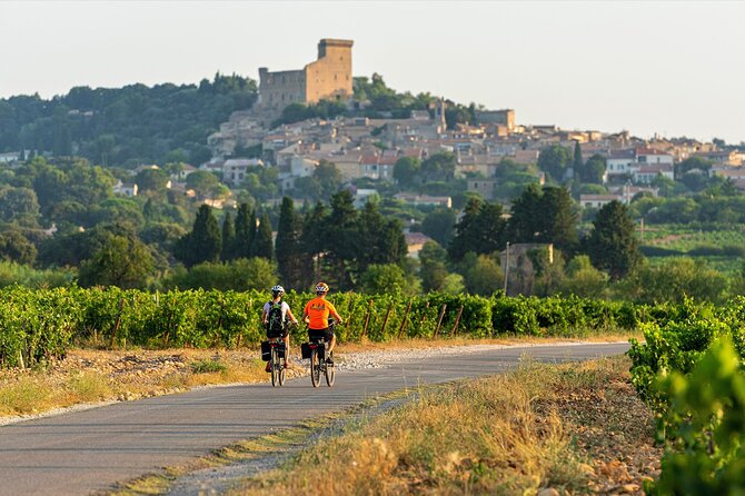 Full day E-Bike rental around the Mont-Ventoux - Vaison-la-Romaine start: easy launch, clean day plan