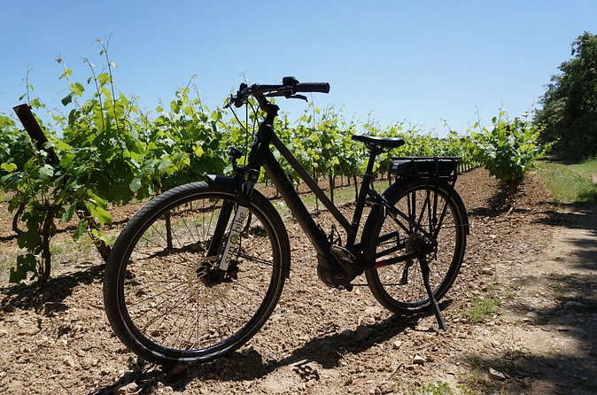 Full day E-Bike rental around the Mont-Ventoux - Where the ride feels most Provence: villages, vineyards, and quiet lanes