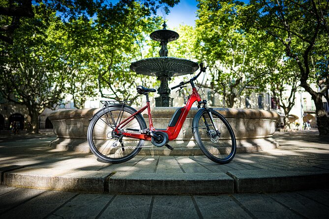 Full day E-Bike rental around the Mont-Ventoux - Bike quality: what to check before you head out