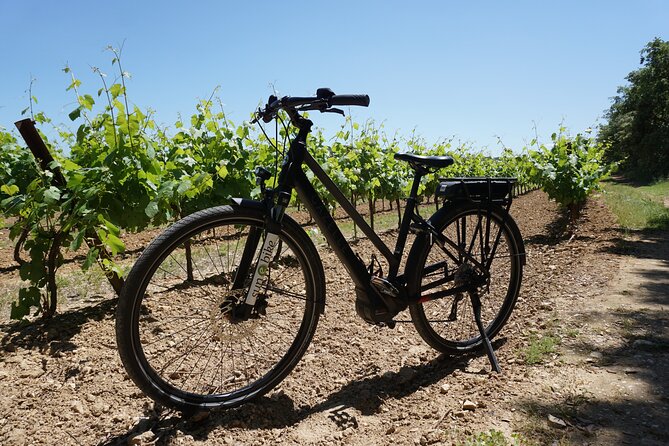 Full day E-Bike rental around the Mont-Ventoux - Price value: what you’re paying for at $50.57
