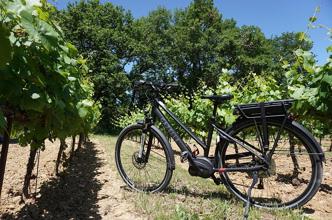 Full day E-Bike rental around the Mont-Ventoux - Timing and weather: the one big planning lever