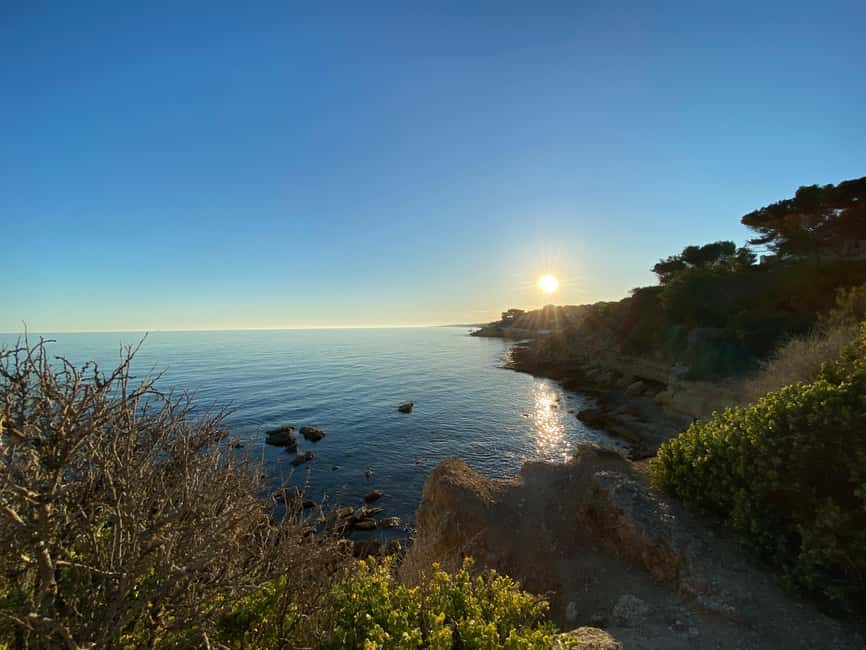 Full Day in Côte Bleue: Scenic Nature Walk and Boat Tour - The Côte Bleue train ride to Carry-Le-Rouet