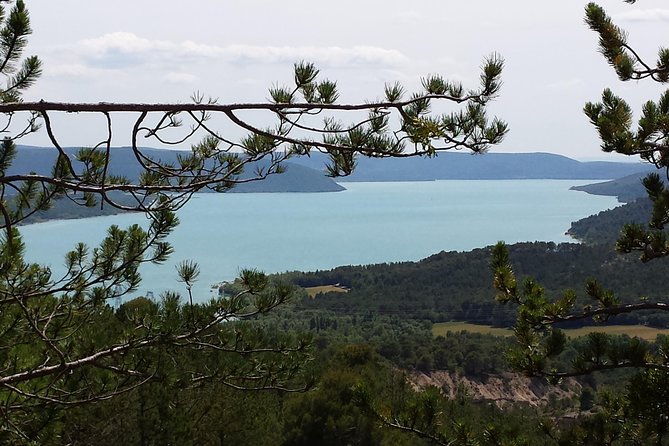 Full day lavender tour Luberon and Sault - Why this lavender day works from Avignon