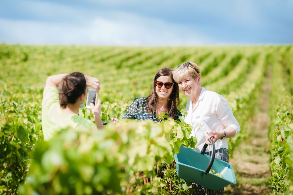 Full Day Pommery Small Group Tour - Épernay gives you time to eat and stroll