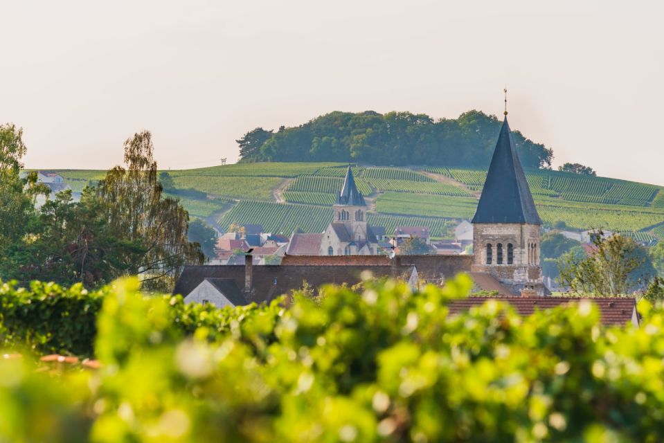 Full Day Pommery Small Group Tour - Who will get the most from this Champagne day?