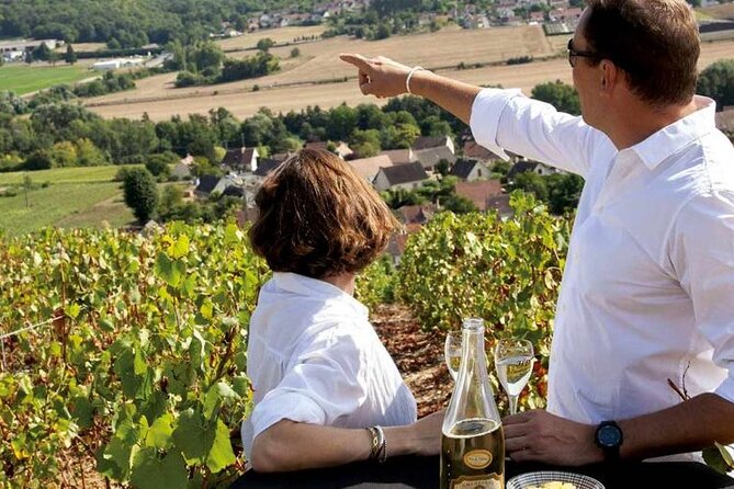Full-Day Private Champagne Tasting in Reims and its Vineyards - Key points to know before booking
