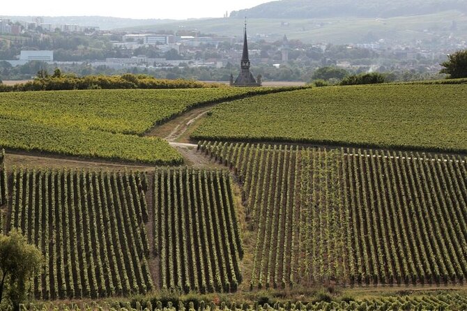 Full-Day Private Champagne Tasting in Reims and its Vineyards - The first Champagne house keeps you in the city