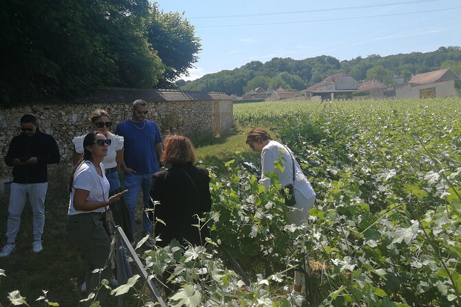 Full-Day Private Champagne Tasting in Reims and its Vineyards - Lunch at Bezannes favors comfort over rustic charm