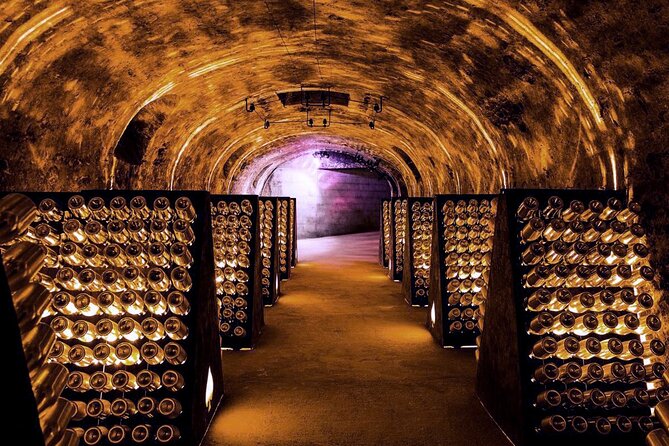 Full-Day Private Champagne Tasting in Reims and its Vineyards - What the schedule leaves out