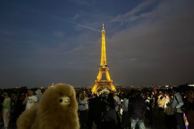 Full Day Private Guided Tour of Paris and Versailles - Walking Through Montmartre for Two Hours