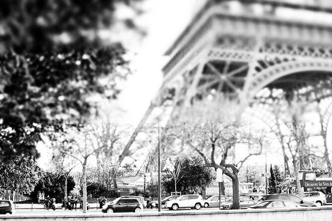 Full-Day Private Sightseeing Tour of Paris (luxury van) - Building your own route through Paris
