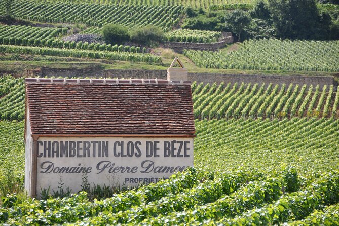 Full-Day Private Tour, 6 Premiers & Grands Crus, The Best of Burgundy - Cellars, Aging, and Tasting Vintages with Context