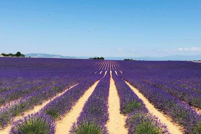 Full-day Private Tour Gorges du Verdon (LAVENDER JUNE 15/JULY 15) - What the Private Price Buys You
