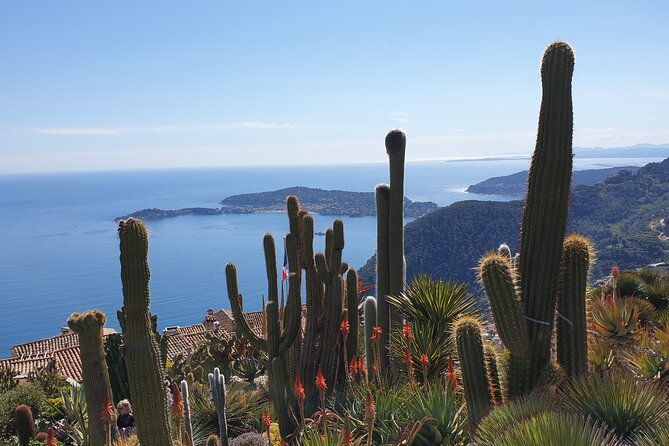 Full-Day Private Tour of Nice, Monaco and Eze Village with private guide - Starting in Nice with old-town flavors