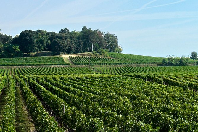 Full-day Saint-Emilion: Village, Undergrounds and Châteaux - Chateau Champion: three wines, plus the winemaker energy