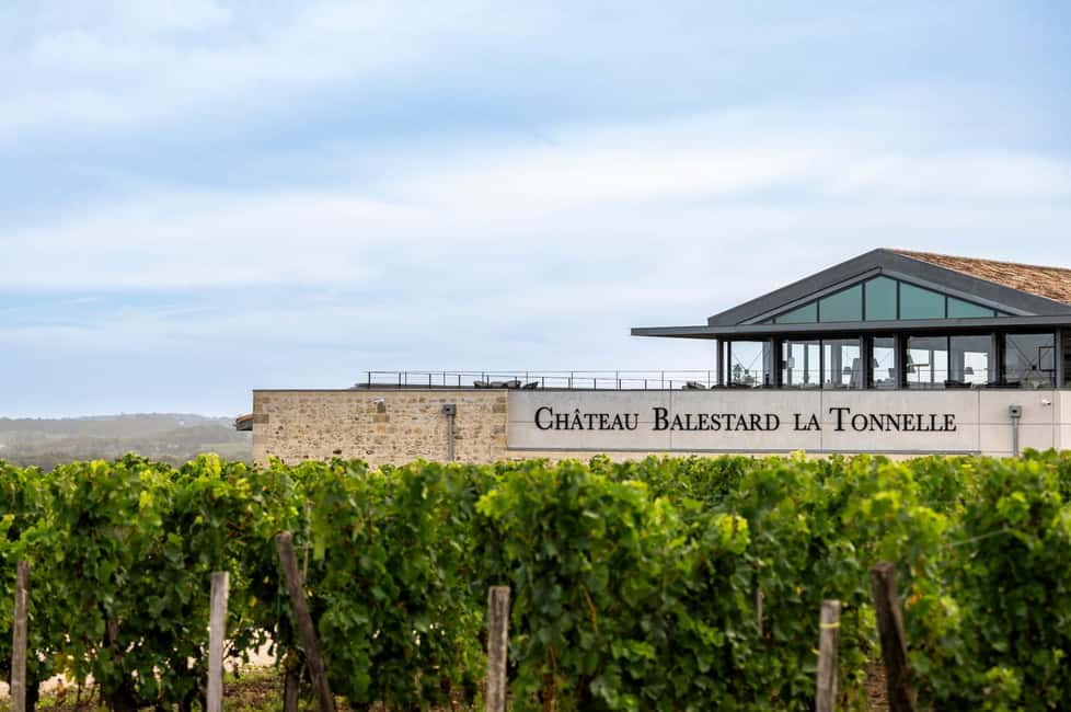 Full-day Saint-Emilion: Village, Undergrounds and Châteaux - Pace, Comfort, and Who This Works Best For
