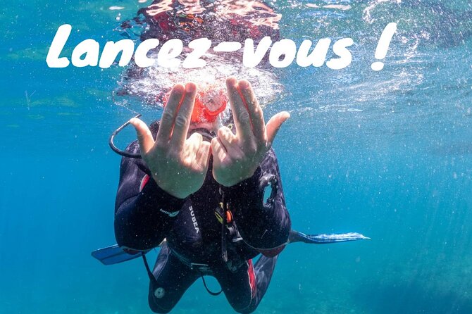 Full-Day Snorkeling and Guided Dive in the Calanques National Park from Marseille - From Pointe Rouge to the Calanques by Fast Boat