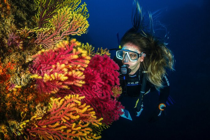 Full-Day Snorkeling and Guided Dive in the Calanques National Park from Marseille - Practical Details Before You Reserve