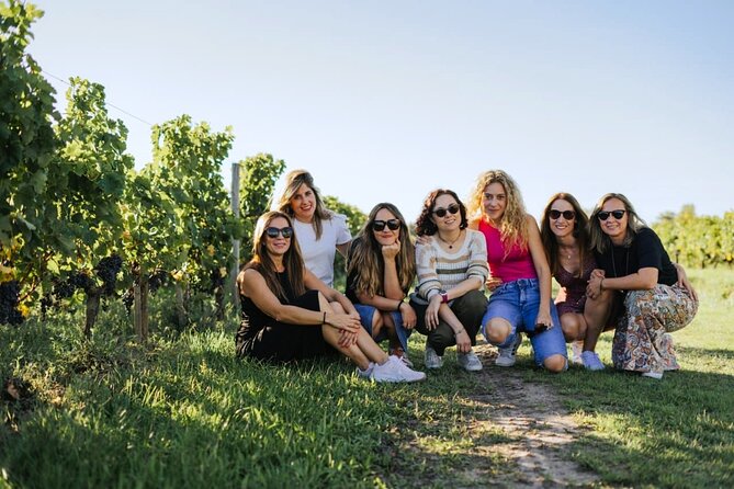 Full Day Tour Saint Emilion with lunch two Chateaux and Village - Saint-Émilion’s medieval streets: UNESCO time with a guide