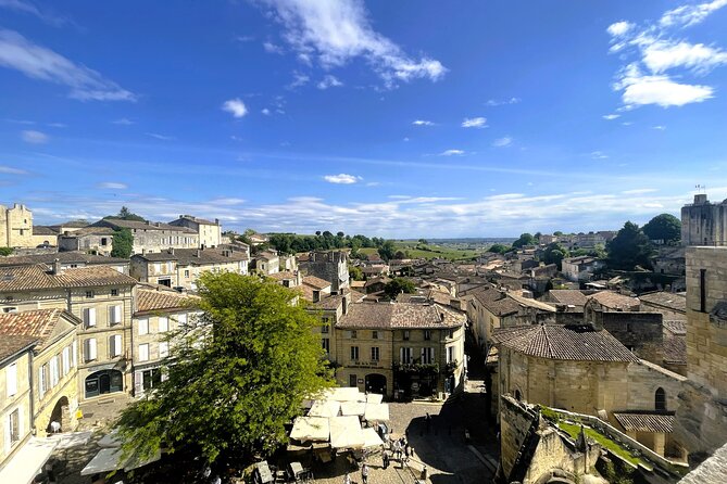 Full Day Tour Saint Emilion with lunch two Chateaux and Village - Who this Saint-Émilion tour suits best (and who might not)