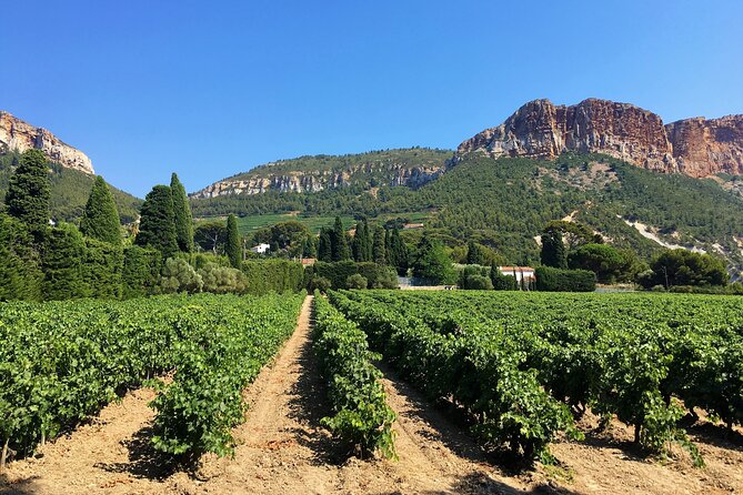 Full-day Wine Tour around Bandol & Cassis from Marseille - Cassis Harbor Free Time: Lunch at Your Tempo