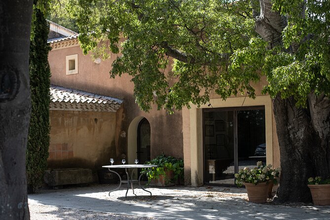 Full-day Wine Tour around Bandol & Cassis from Marseille - What You Actually Get for the Money
