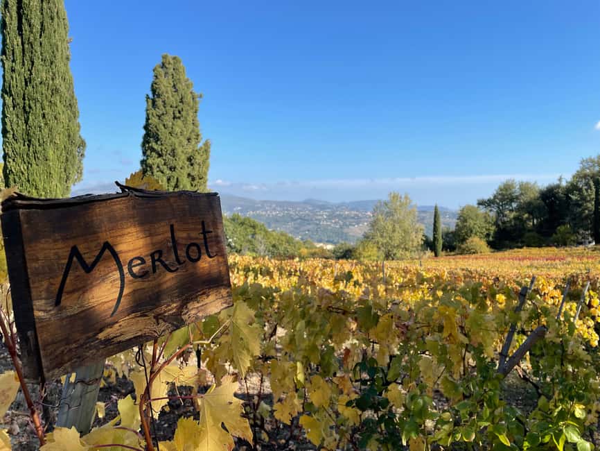 Full-Day Wine Tour in Bellet & Saint-Paul de Vence From Nice - Saint-Paul de Vence gives you a welcome pause