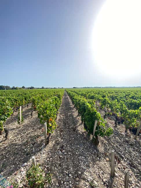 Full Day Wine tour in saint emilion & Margaux - Two Bordeaux wine worlds in one day