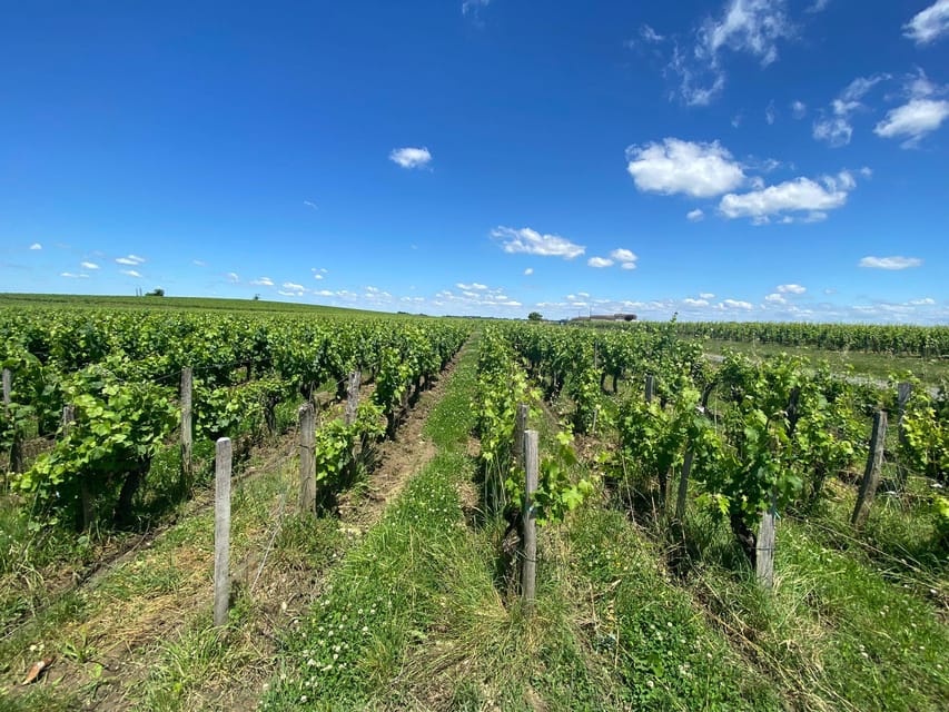 Full Day Wine tour in saint emilion & Margaux - Is $294 a fair price?