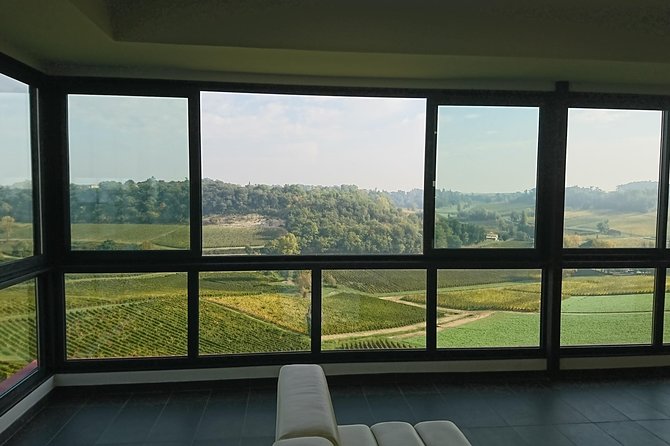 Full-day wine tour in Saint-Emilion (Premium Sedan) - Lunch above the Saint-Émilion and Pomerol vines