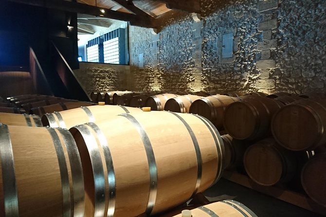 Full-day wine tour in Saint-Emilion (Premium Sedan) - The guide can shape the whole day
