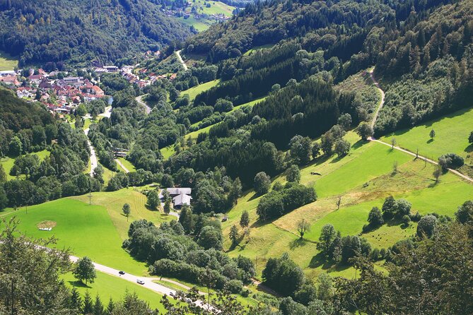Germany Baden-Baden & Black Forest Private Day Trip from Strasbourg - Afternoon Option 2: The German Wine Route and Palatinate Vineyard Views