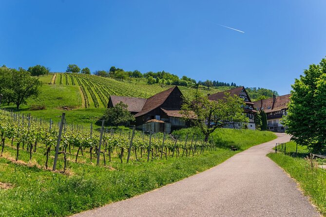 Germany Baden-Baden & Black Forest Private Day Trip from Strasbourg - Practical Tips: Passport Checks, Weather, and What to Pack