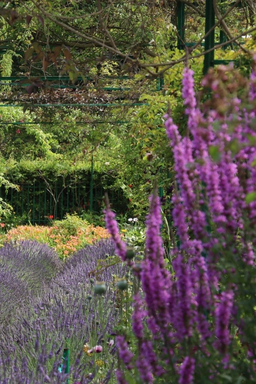 Giverny Private Guided Walking Tour - Walking through the gardens Monet shaped