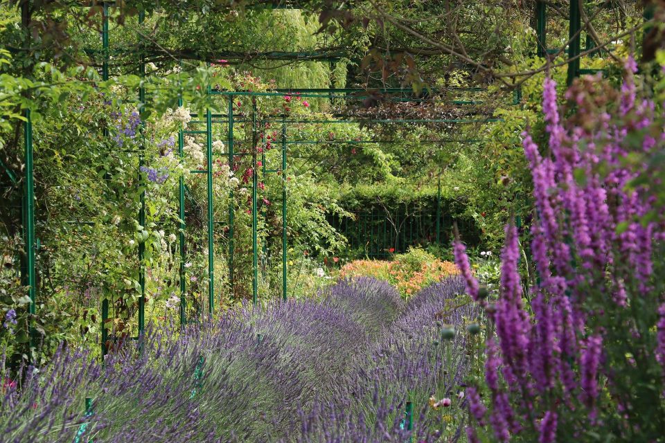 Giverny Private Guided Walking Tour - Crowds, heat, and the value of a local guide