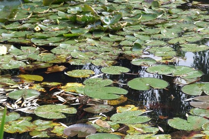 Giverny Small-Group Minivan with Hotel Pickup or Meeting Point - Fondation Claude Monet: how to use your 2.5 to 3 hours