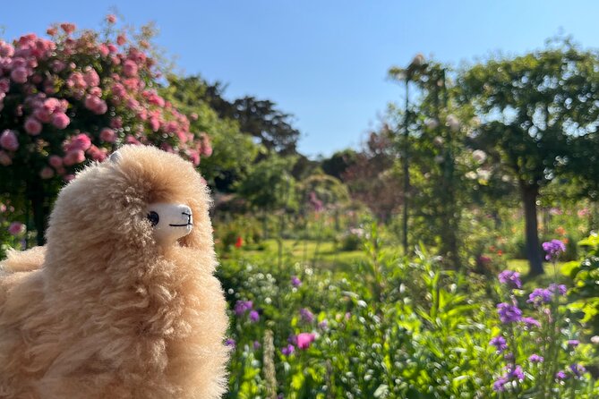 Giverny & Versailles Private Guided Tour with Ticket Entry - Versailles Palace of Louis XIV: Grand Apartments and the Hall of Mirrors