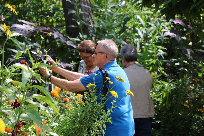 Giverny's House & Gardens plus Versailles Palace Day Trip with Lunch from Paris - Is this tour good value at about $387 per person?