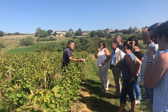 Golden stones Beaujolais Wine Tour with Tastings from Lyon - Starting in Lyon: Place Bellecour pickup and a 4-hour rhythm