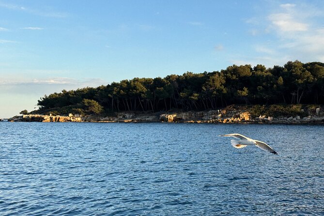 Golf Juan: Sunset Sailing Cruise with aperitif at the Island - Who this sunset sail fits (and who should skip it)
