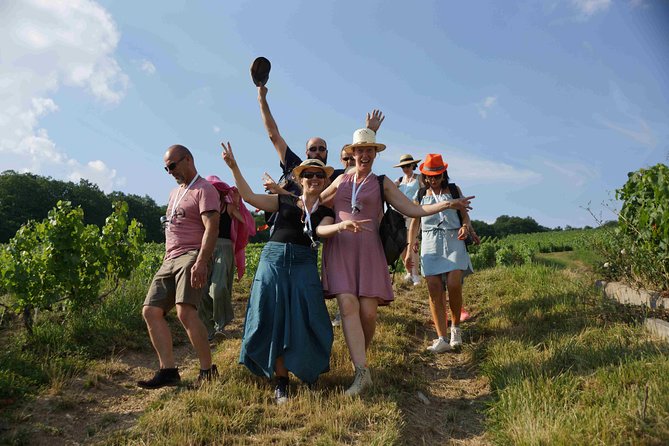 Gourmet walk in the heart of the vineyards with Champagne tasting near Epernay - Key things that make this Champagne walk worth your time